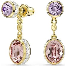 Swarovski SWR5738478 Kadın Küpe