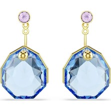 Swarovski SWR5737449 Kadın Küpe