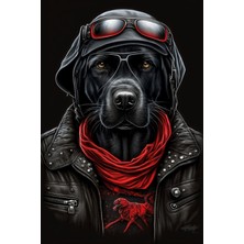 Aden Dijital Dekoratif