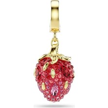 Swarovski SWR5743136 Kadın Charm Bileklik Ucu
