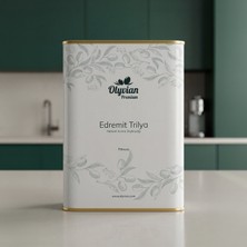 Olyvian Premium Edremit & Trilya Cinsi Zeytinler 3 L Soğuk Sıkım Doğal Natürel Sızma Zeytinyağı