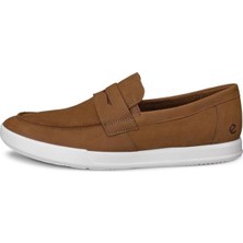 Ecco Travel