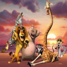 SHC4200 714 Puzzle 100 Prç