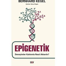 Mabelme Store Epigenetik - Deneyimler Kalıtımla Nasıl Aktarılır?