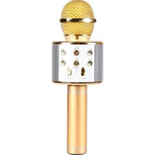 Newface WS-858 Karaoke Mikrofon - Gold