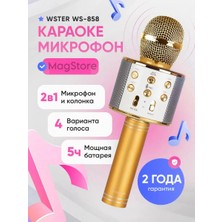 Kablosuz Karaoke Çocuk Mikrofonu 330878851