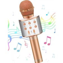 Mikrofon Karaoke Kablosuz Mikrofon Için Karaoke/bluetooth 231335351 Diğer