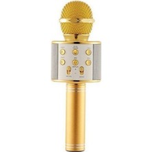 Wster WS-858 Karaoke Mikrofon