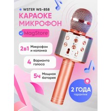 Kablosuz Karaoke Çocuk Mikrofonu 330878852