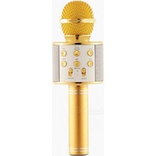 Wster WS-858 Karaoke Mikrofon Gold