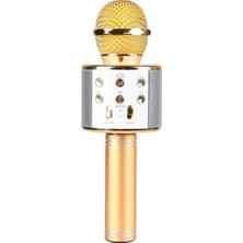 Karaoke Mikrofon - Rose Gold 858