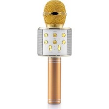 Goldmaster Star 2018 Karaoke Mikrofon Gold