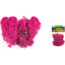 Jordania Ölçekli Mimari Maket Yosun 2045 Menekşe 10 Gram Je00-0502045