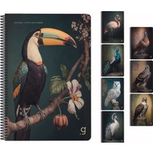 Gıpta Spiralli Karton Kapak Defter Natura 17X24 Cm 80 Yaprak Kareli 7061 (4 Lü Paket)