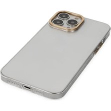 Senka Newface Iphone 13 Pro Kılıf Anka Pc Sert Metal Kapak - Şeffaf