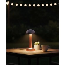 Zenvia Modern Bronz Masa Lambası 3 Renk LED Dokunmatik Şarjlı Model