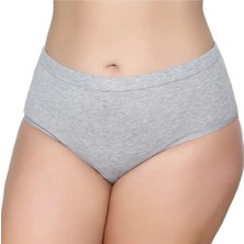 3'lü Kadın Bato Külot Geçme Lastik-Gümüş 3040-3041