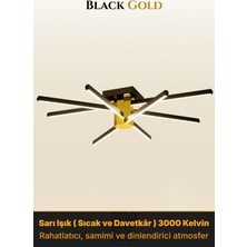Enzo Light Nova 8 Gold  LED Tavan Avize – Kumandalı Dim Edilebilir – Aşağı Işık