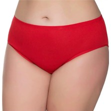 Sedef 12'li Kadın Ince Lastik Bato Külot- 1047