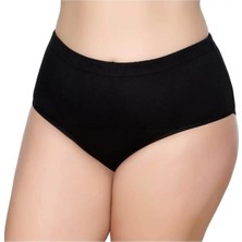 6'lı Kadın Bato Külot Geçme Lastik-Gümüş 3040-3041