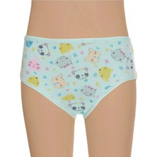 Gümüş Kız Çocuk Külot 6'lı Paket Karışık Desen-Renk 3071