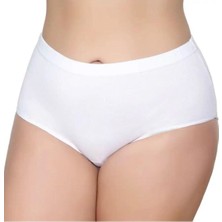 3'lü Kadın Bato Külot Geçme Lastik-Gümüş 3040-3041