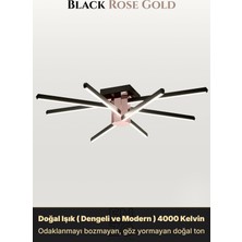 Enzo Light Nova 8 Rose Gold 3000K LED Tavan Avize – Kumandalı Dim Edilebilir – Aşağı Işık