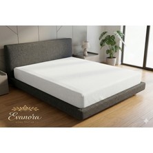 Evanora Home Textile ÇİFT KİŞİLİK  %100 Pamuklu Penye Lastikli Çarşaf - Yumuşak Doku