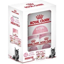 Royal Canin Kitten Yavru Kedi Maması Bundle 2kg+2 Adet Yavru Kedi Yaş Mama Hediyeli