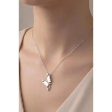 Gümüş Renk Beyaz Yusufcuk Model Çelik Kolye