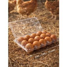 Kalite Meraklıları (320 Adet) 15’li Plastik Yumurta Viyolü – Sağlam & Uzun Ömürlü-