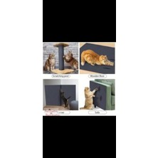 Petquatro Tırmalama Halısı 50 X100 cm Yapışkanlı