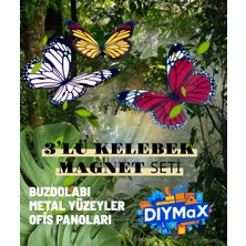Dıymax Kelebek Buzdolabı Magneti 3’lü Set – Dekoratif Renkli Kelebek Mıknatıslı Buzdolabı Süsü