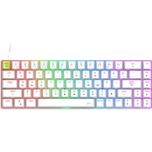 Gravion Raxor MK68 Rgb Mekanik Gaming Oyuncu Klavyesi 68 Tuş Manyetik Switch Type-C Beyaz Anti-Ghosting