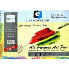 Alex Schoeller Resim Defteri 25X35 Cm 200Gr 15 Yaprak 893 Çok Amaçlı Çizim Ve Resim Bloğu Spiralli