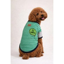 Alphadog Croc Küçük Irk Köpek T-Shirtü