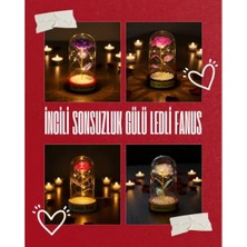 Fta Ticaret Incili Sonsuzluk Gülü Ledli Fanus