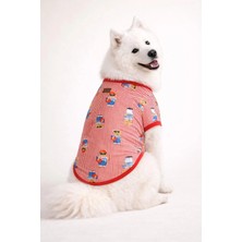 Alphadog Teddy Orta-Büyük Irk Köpek T-Shirtü