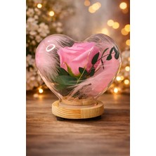 Eng Parti Dünyası Pembe Kalpli Cam Fanus Işıklı Dekoratif Gül – Pilli Çalışma Özelliği