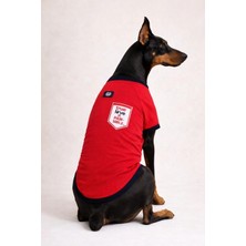 Alphadog True Love Orta-Büyük Irk Köpek T-Shirtü
