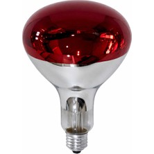 Infrared Ldn 250R Isıtıcılı Ampul 250W Kırmızı Işık