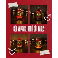 MiraLive Gül Yapraklı Ledli Gül Fanus