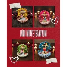 MiraLive Mini Midye Teraryum - Özel Gün Hediyesi