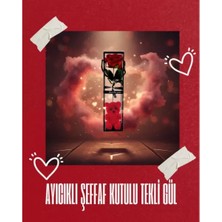 MiraLive Ayıcıklı Şeffaf Kutulu Tekli Gül