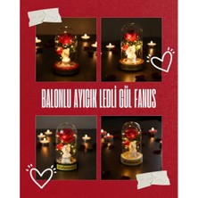 MiraLive Balonlu Ayıcık Ledli Gül Fanus