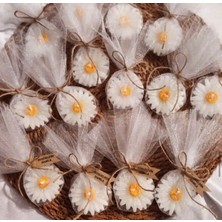 20LI Papatya Mum Hediyelik