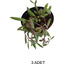 The Best Online Thebestonline 3 Adet Mini Yakut Kolyesi Çiçeği