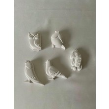 CEG Art Gallery Taş Boyama Seti - 5'li Kuş Seti - 1 Adet Fırça + 3 Renk Boya