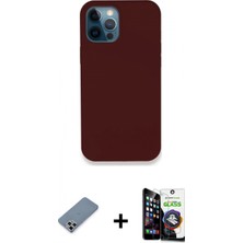 İlk El Grup Ieg™ iPhone 12 Pro Max Zirve Modern Özel Seri - Şeffaf Temperli Cam Ekran Koruyucu + Gümüş Metal Kamera Lens Koruma Cam