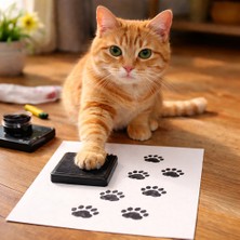 Kedi ve Köpek Pati Izi
